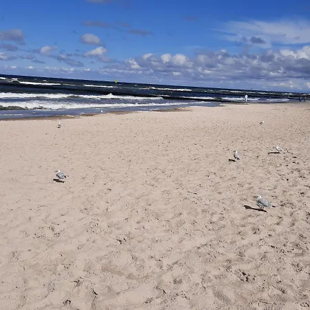 Maja Zielone Tarasy *